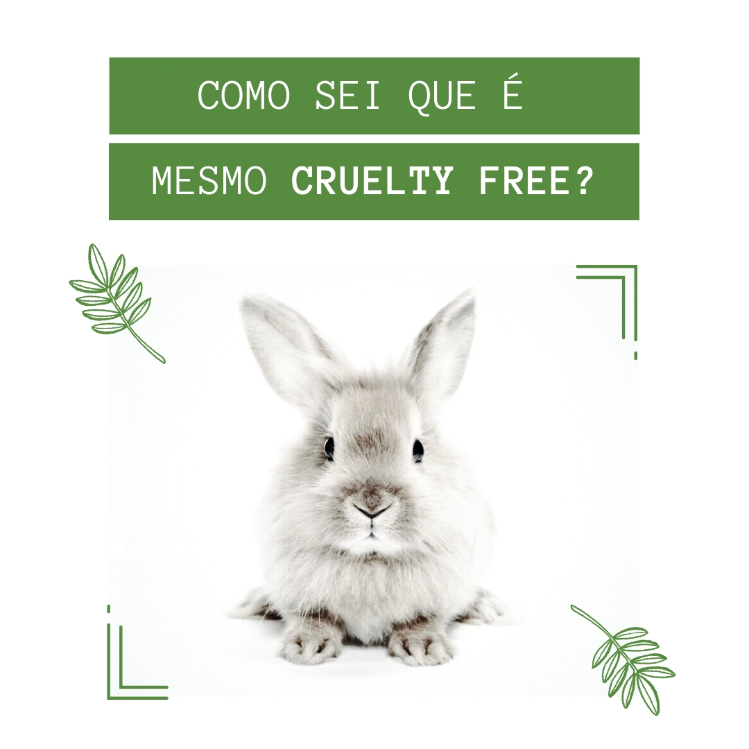 Você tem dúvidas sobre os nossos processos e certificações? Separamos algumas perguntas para explicar tudinho a você! Vem conferir! ;)