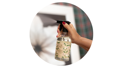 Design sem nome   2025 08 01T083545png